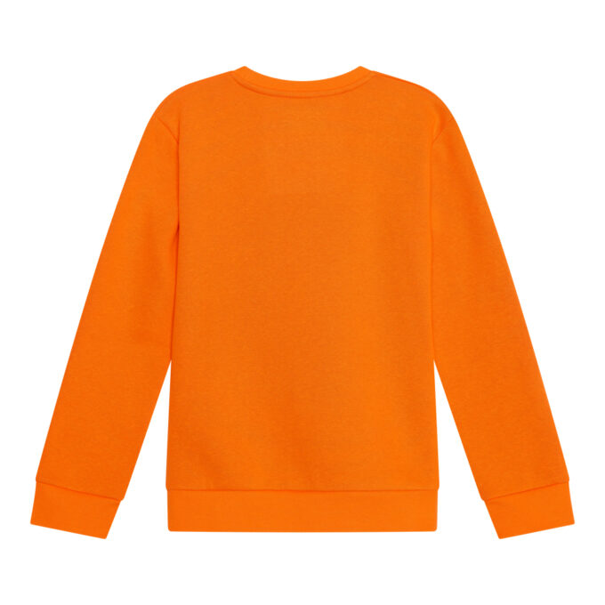Holland logo sweater kids - achterkant