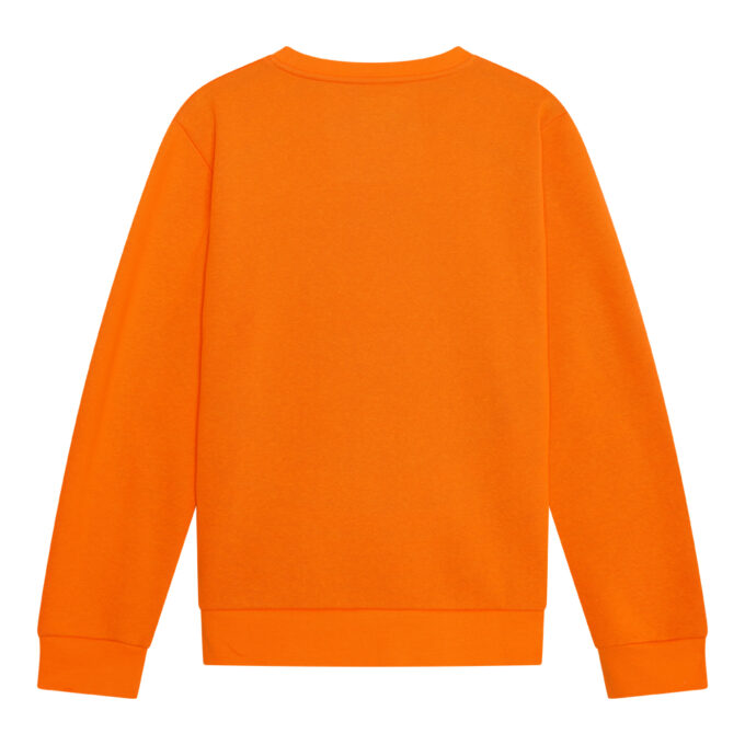 Holland sweater senior - achterkant