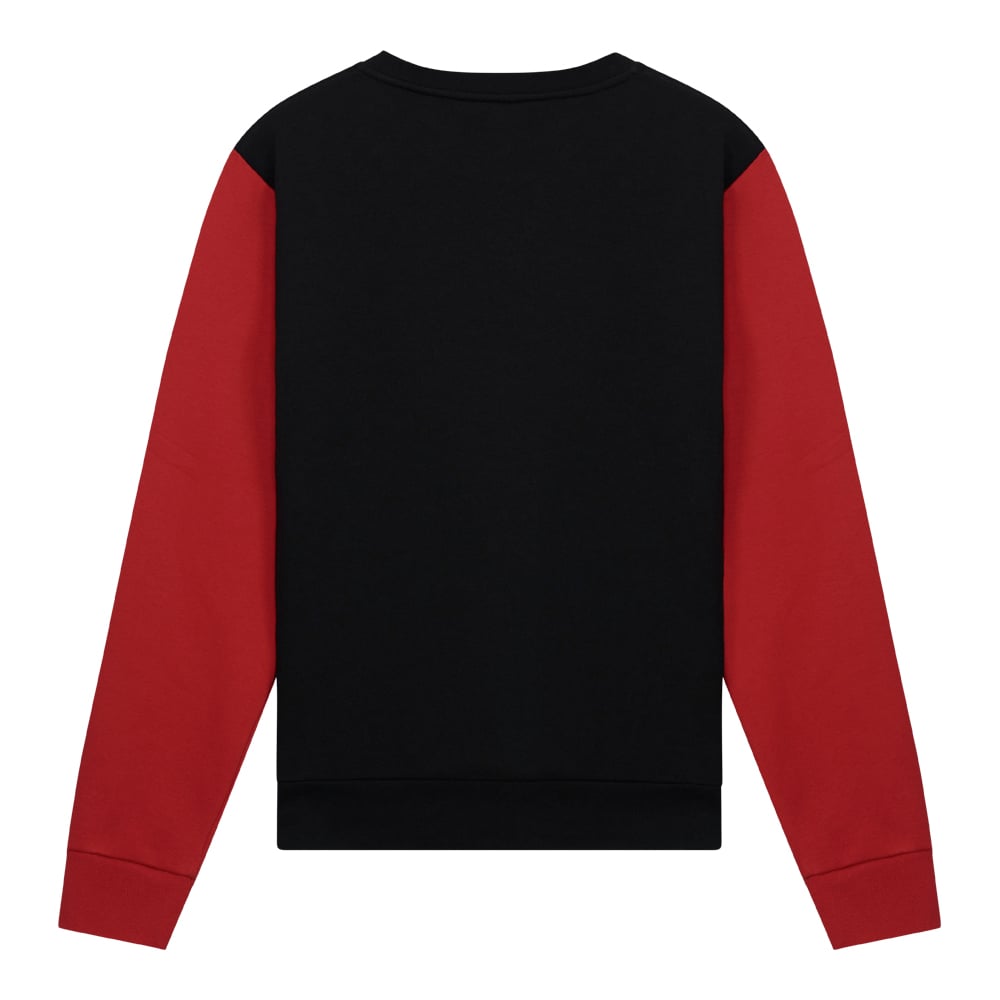 AC Milan big logo sweater heren achterzijde