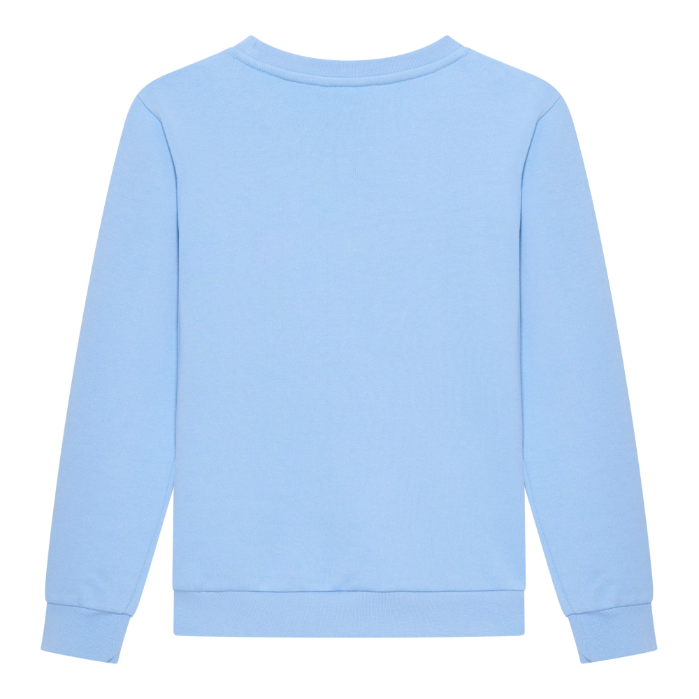 Manchester City logo heren sweater achter