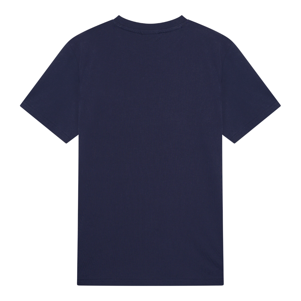 PSG gradient logo t-shirt heren blauw achter