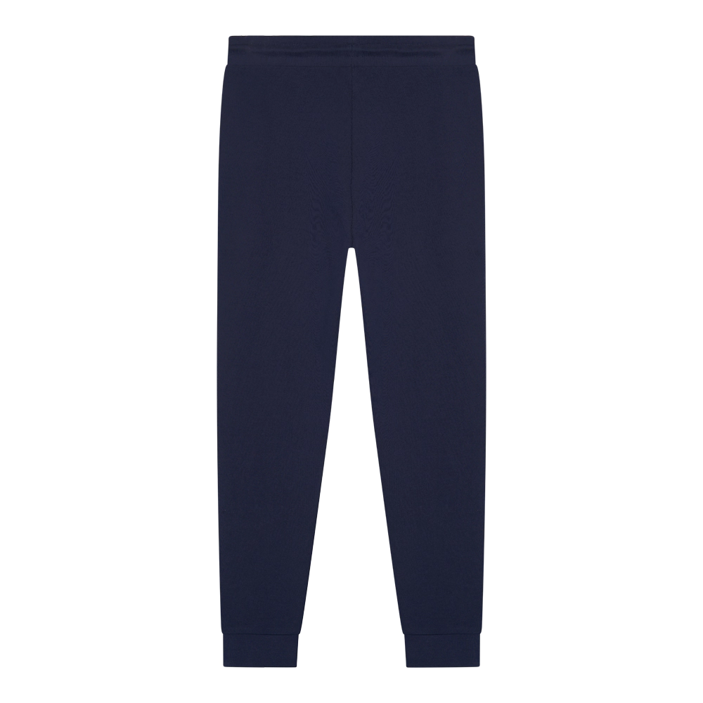 PSG trainingsbroek stripe heren achter