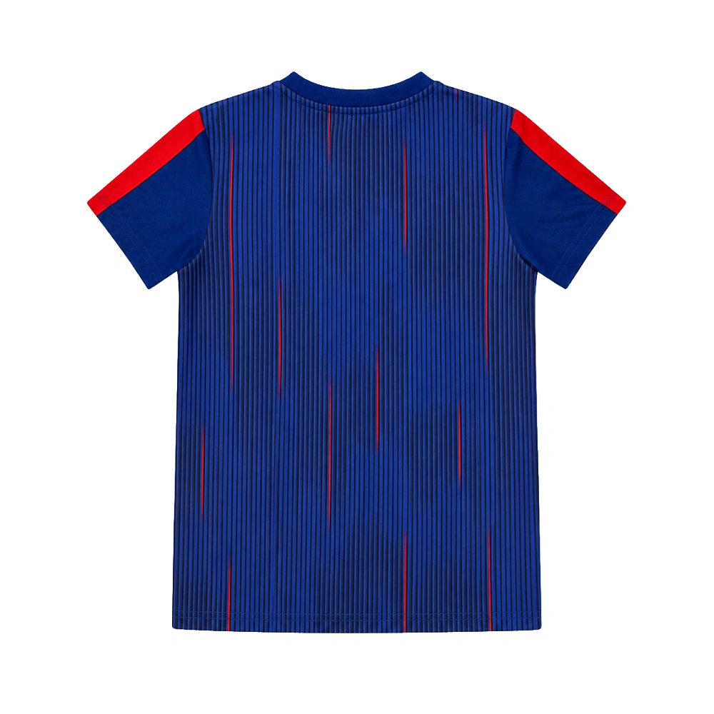 PSG tenue stripes achterkant shirt plat